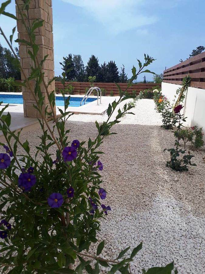 Olivia villa 63 Paphos Exteriör bild